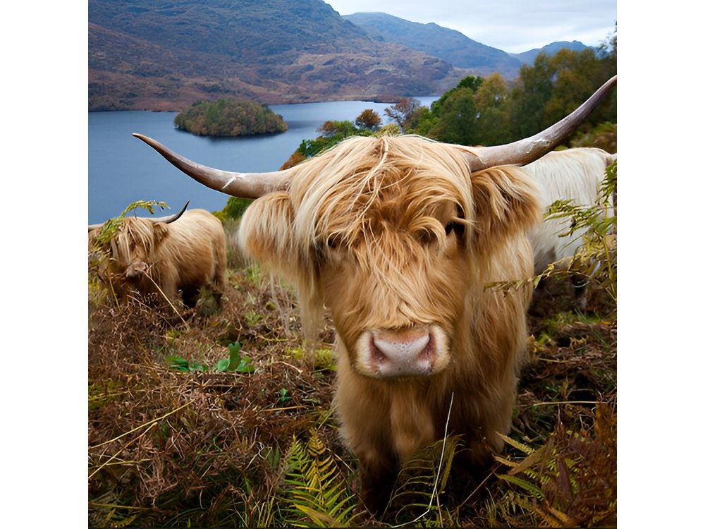 Private Tour of Loch Ness, Glencoe and Highlands from Edinburgh