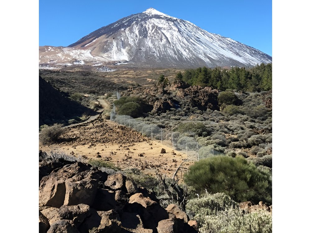 Tenerife : Tour to Teide National Park