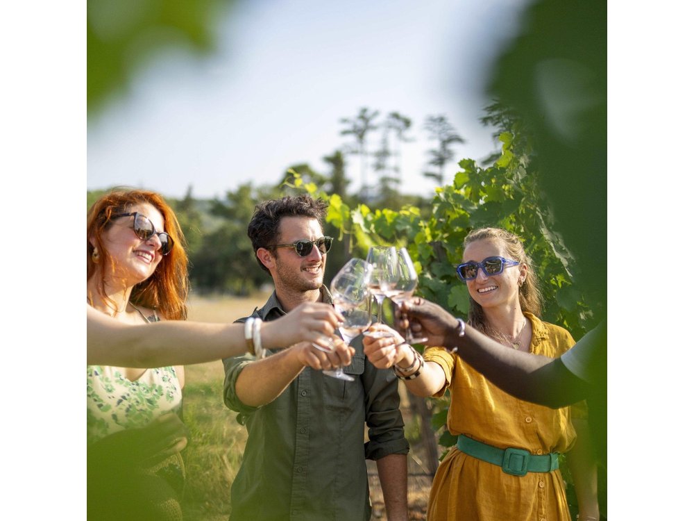 Provence Wine Tour - Private Day Tour from Antibes