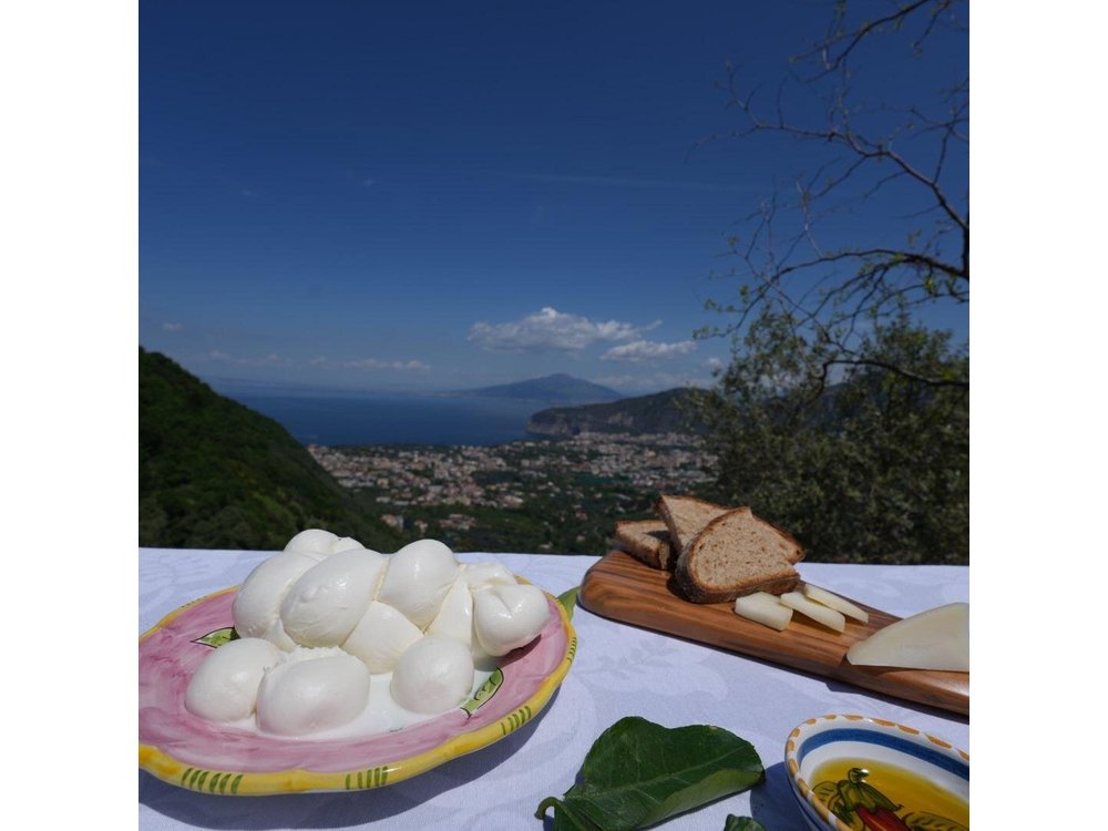 Farm Tour in Sorrento: Olive Oil, Lemons & Mozzarella Tasting