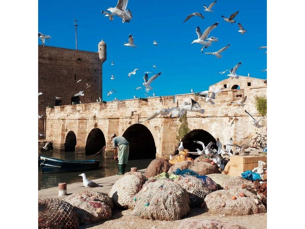 Essaouira day trip from Marrakech