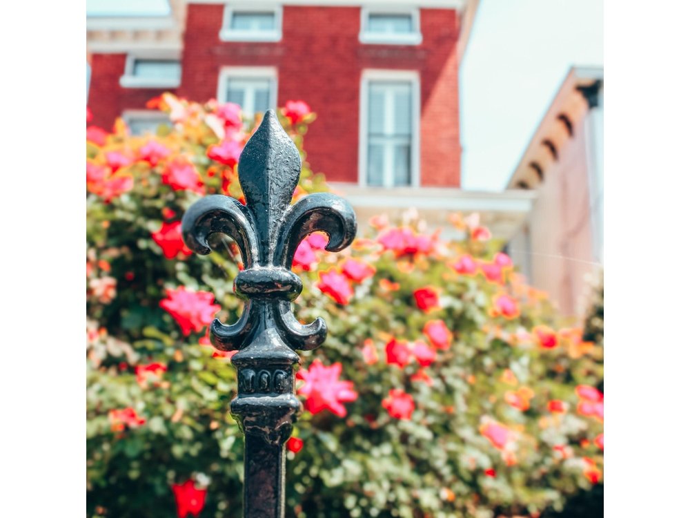 Historic Walking Tour of Victorian Louisville with Food & Bourbon
