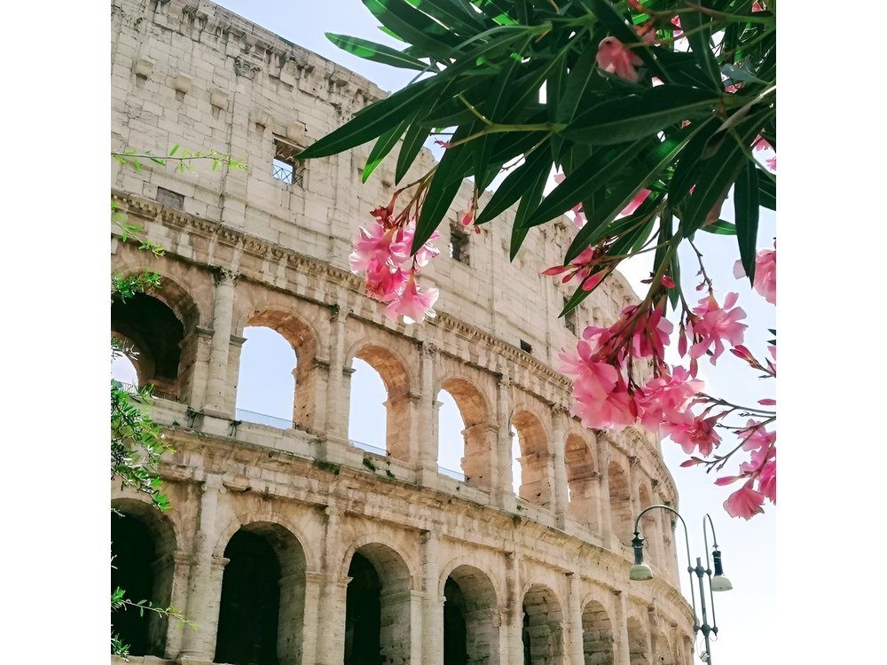Rome On Your Own Full-Day Tour From Civitavecchia