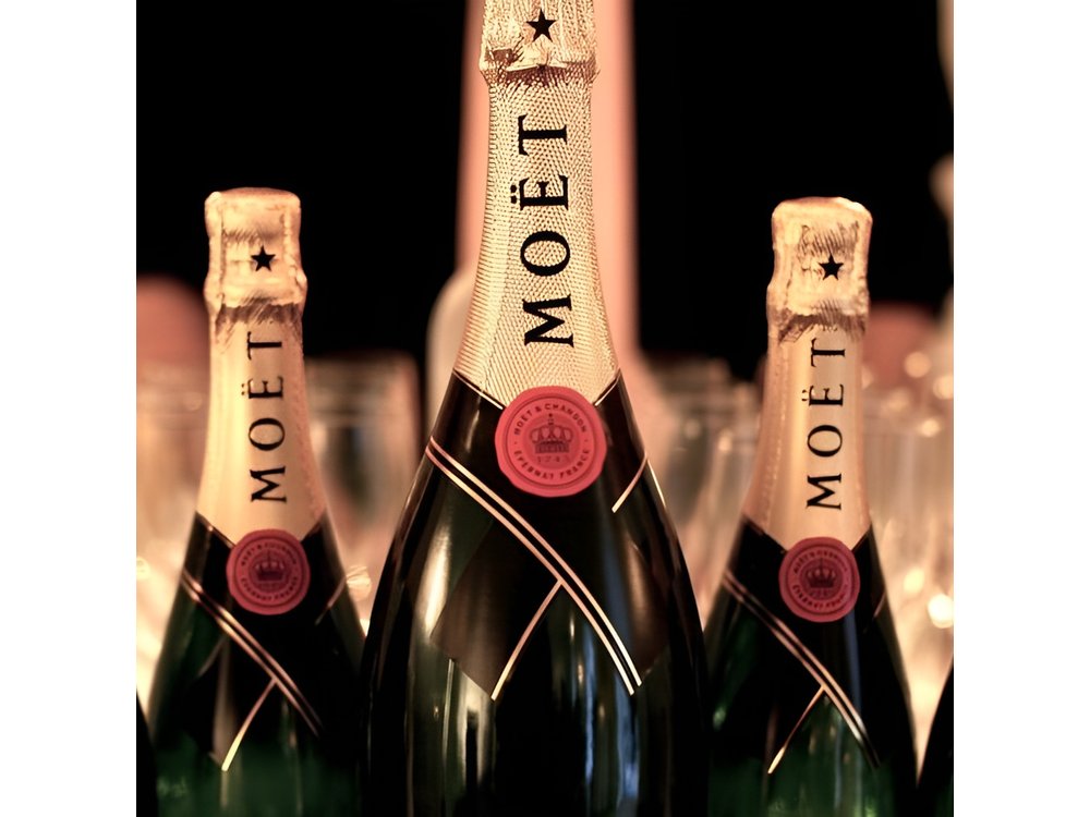 Moet et Chandon Champagne Private Half Day Trip from Paris