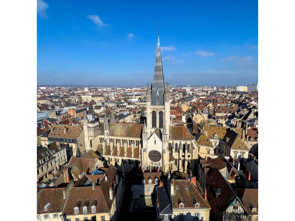 Explore Dijon in 60 minutes with a Local