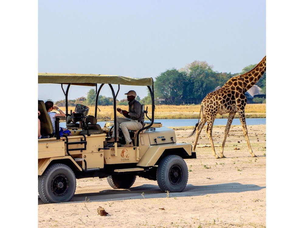 3 hrs Game drive in Chobe National Park (Leon Safaris Gold)