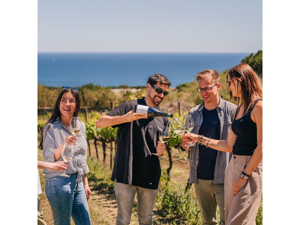Barcelona Sailing Adventure and Small Group Winery Tasting Tour
