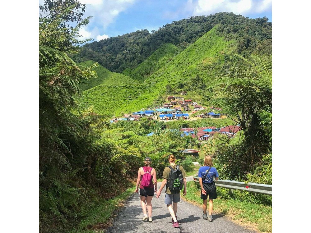 Cameron Highlands Full Day Join in Tour