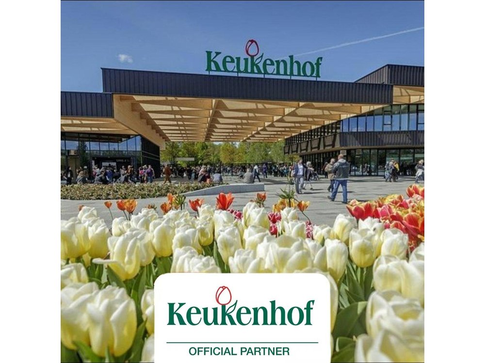 Private Skip-The-Line Keukenhof & Tulip Field Tour from Amsterdam