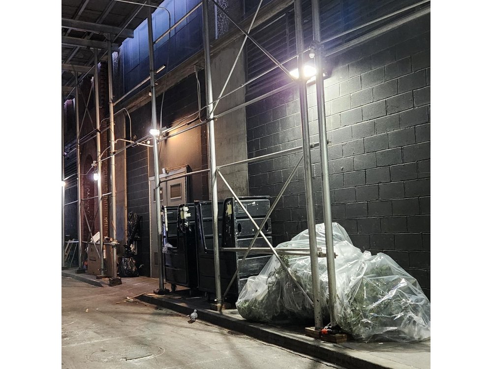 Garbage and Rats in New York City Walking Tour