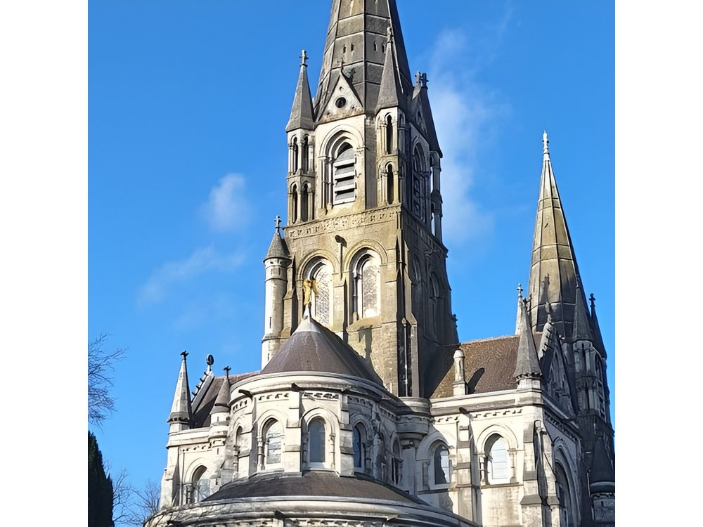 Charm of Cork A Private Walking Tour with Local Guide