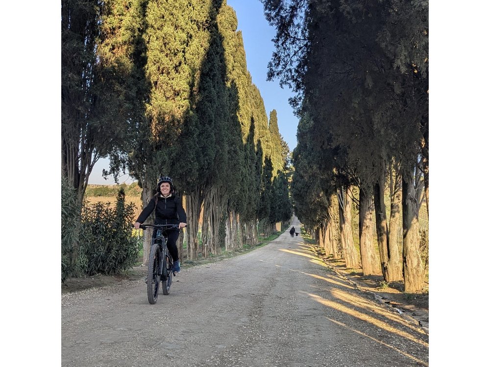 Rome: Frascati Vineyard Bike Tour with Train Tickets