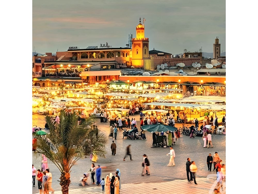 Discover Marrakech: City Highlights Half-Day Private Tour