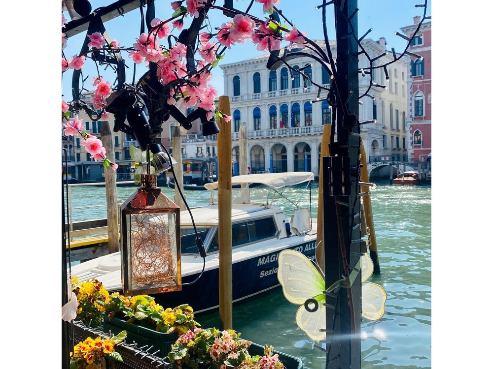 2.5 Hour Street Food Tour of Venice
