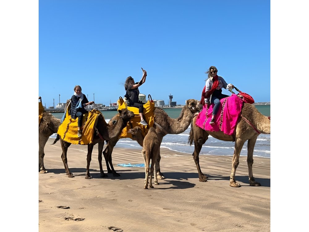 Private Casablanca Day Tour with Camel Ride in Mohammedia