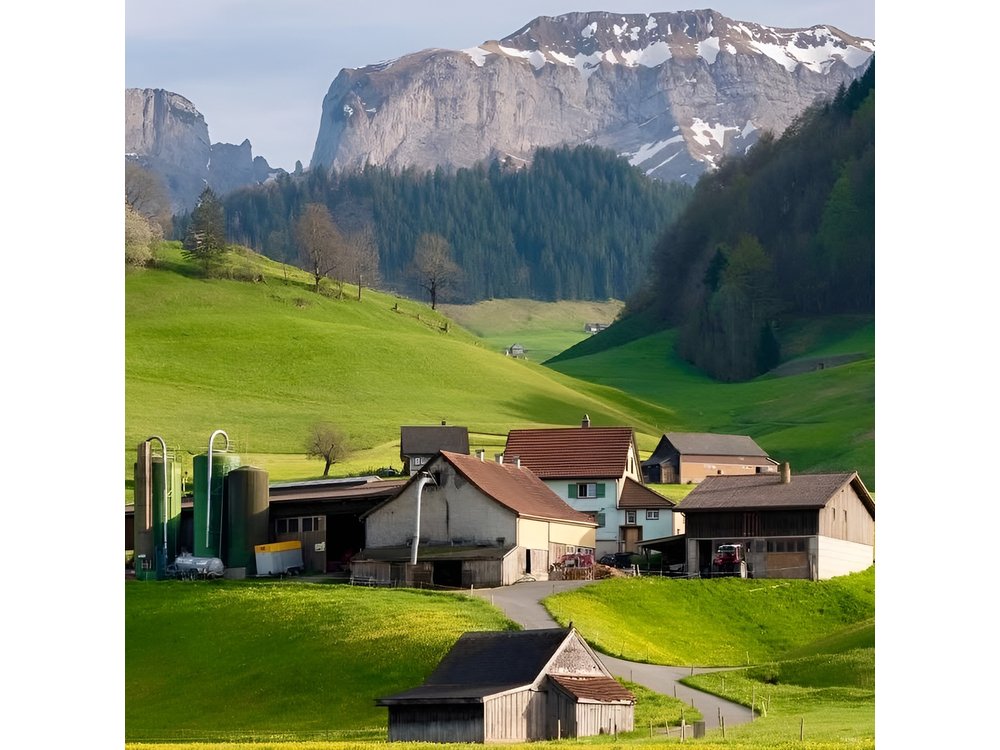 Appenzell Farm Experience from Zurich & Alpine Panorama