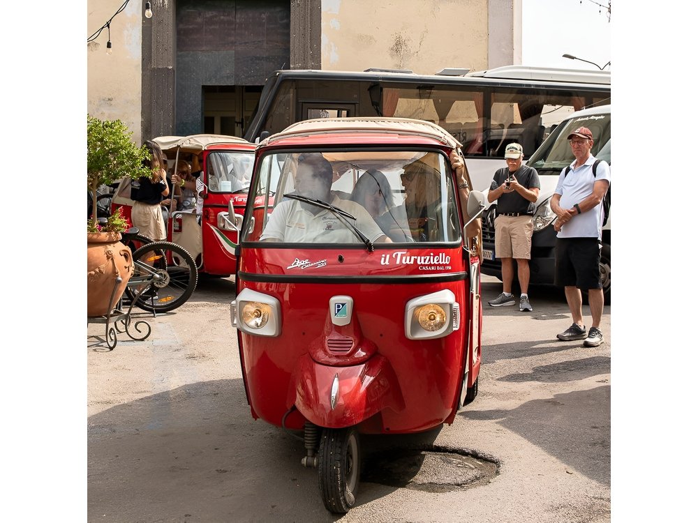 Sorrento Tour: Lemon Garden, Mozzarella show with Ape Ride