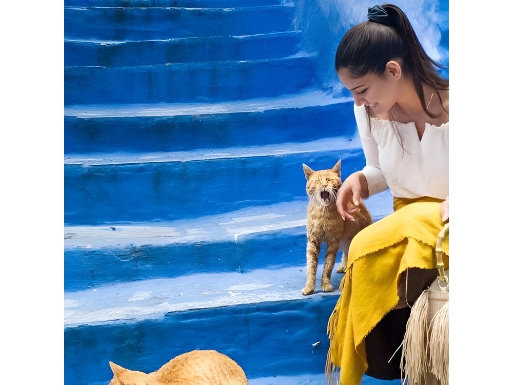 Private Chefchaouen Day Trip from Tangier with Local Guide