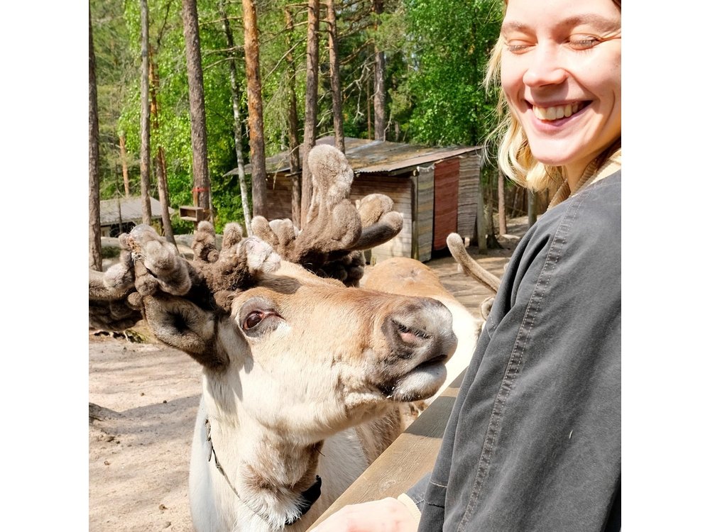Private Reindeer Feeding & Kota Fire from Helsinki