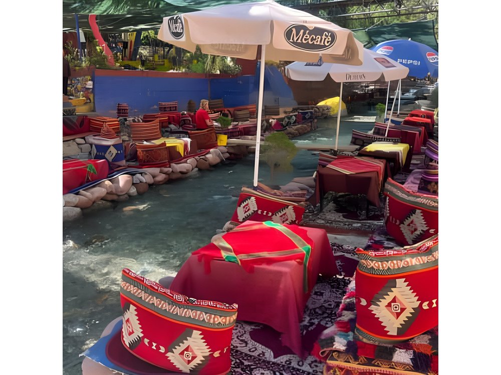 Marrakech: ourika valley day trip lunch waterfulls hike + guide