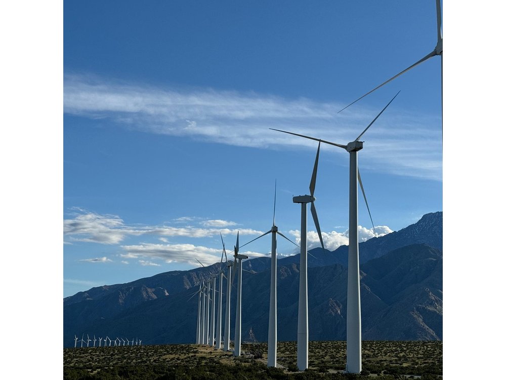 Palm Springs Windmill Guided Tour by Golf Cart