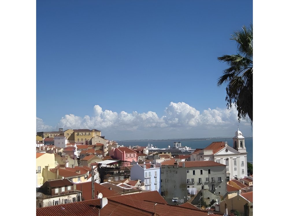 Lisbon walking tailored private tour (half day)