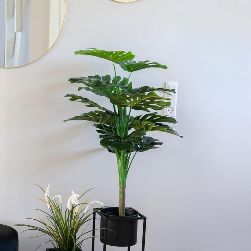 Photo 1 of Plant - monstera - artificial Photo 1 of Plant - monstera - artificial