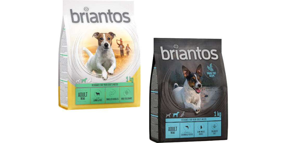 Set prova misto! 2 x 1 kg Briantos Crocchette…