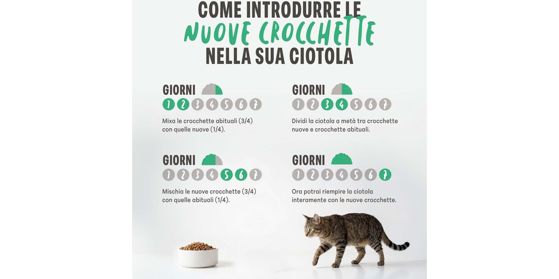 Schesir Adult Monoprotein con Pollo – Set %: …