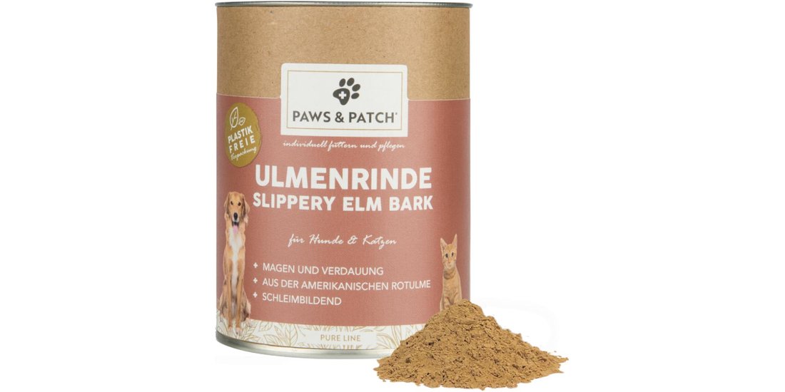 PAWS & PATCH Slippery Elm Bark Corteccia di Olmo…