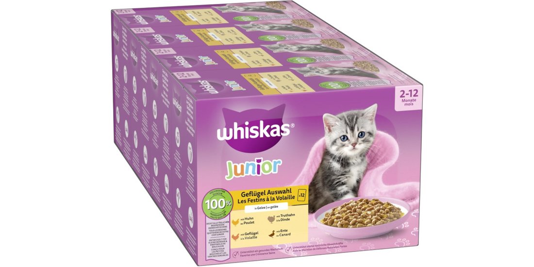 Whiskas Junior buste 48 x 85 g – Selezione Carni…