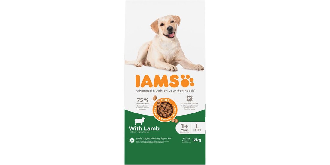 IAMS Advanced Nutrition Adult Large Dog Agnello…