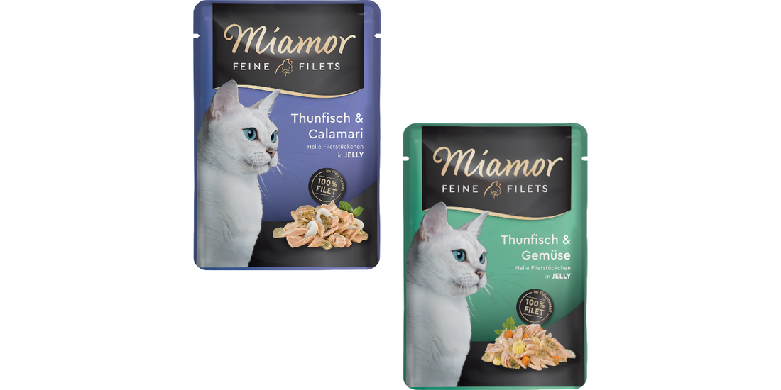 Miamor Delicato Filetto in Gelatina – buste 24…