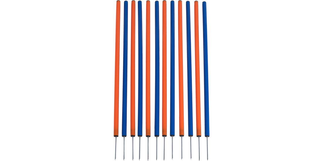 Slalom-Set Agility Fun & Sport – 12 pz