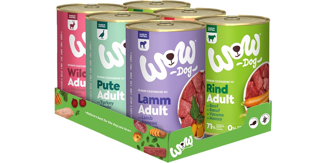 WOW Adult 12 x 400 g Alimento umido per cane – …