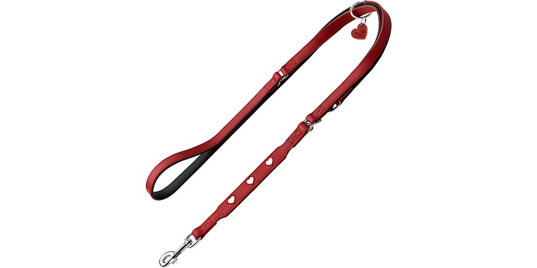Guinzaglio Hunter Love regolabile rosso – L 2…