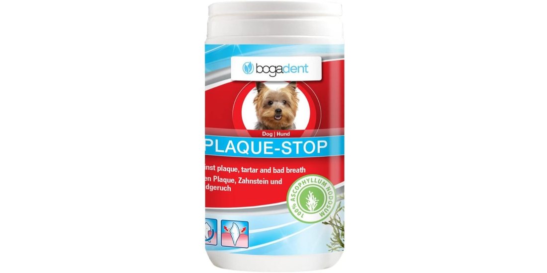 Bogadent Plaque Stop Dental Powder 70 g – Alghe…