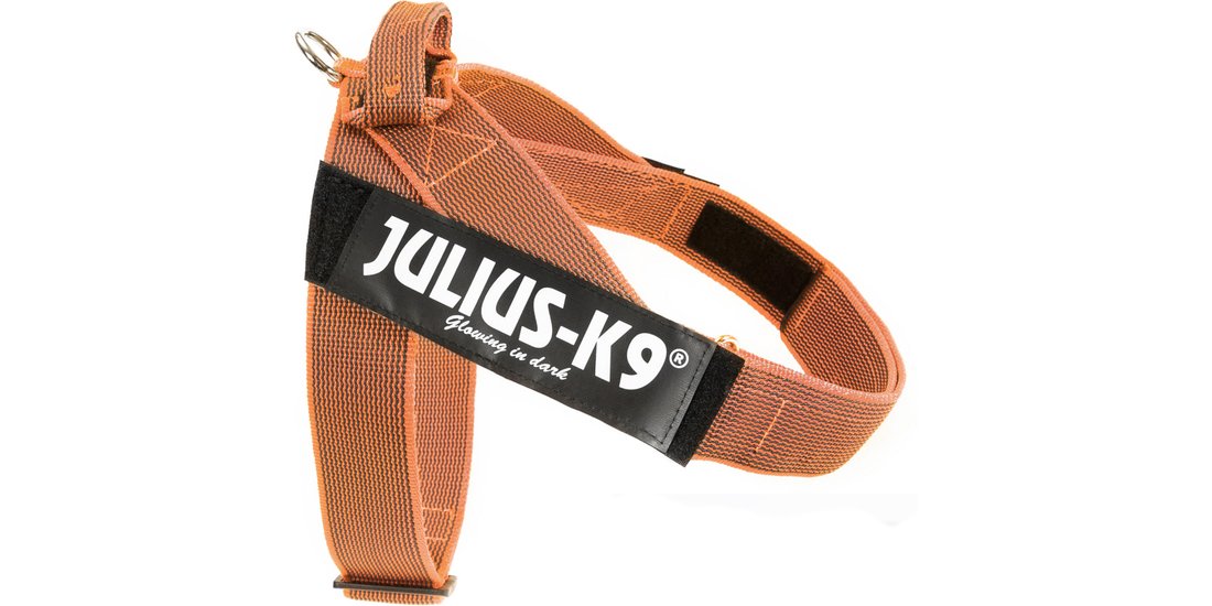 Pettorina Julius-K9 IDC arancio/grigio – 71 – …