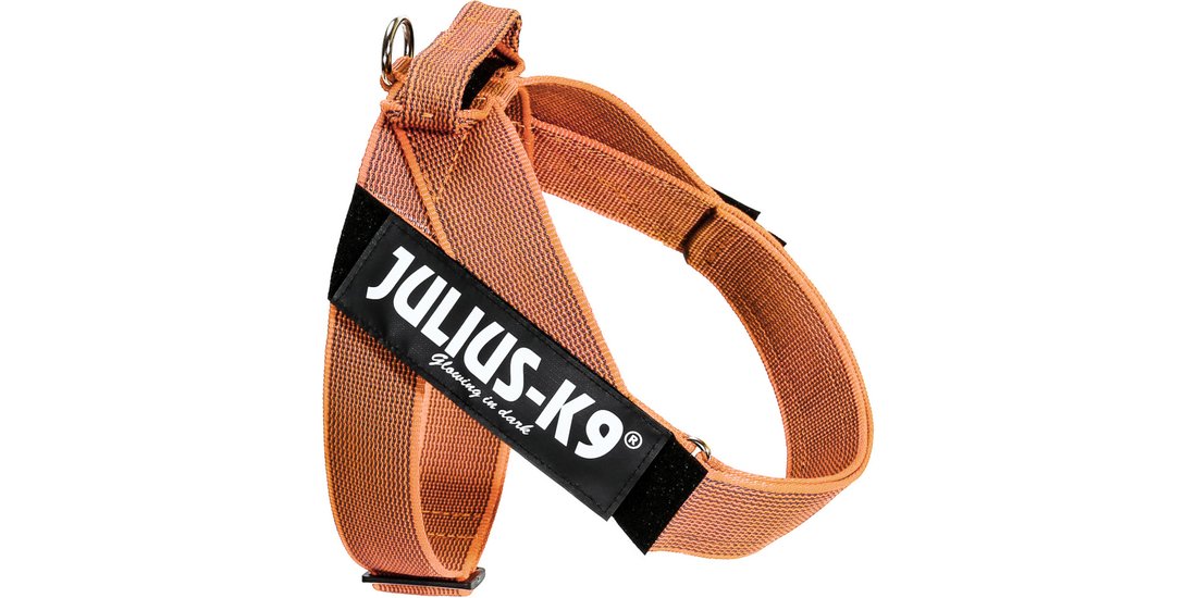 Pettorina Julius-K9 IDC arancio/grigio – 63 – …