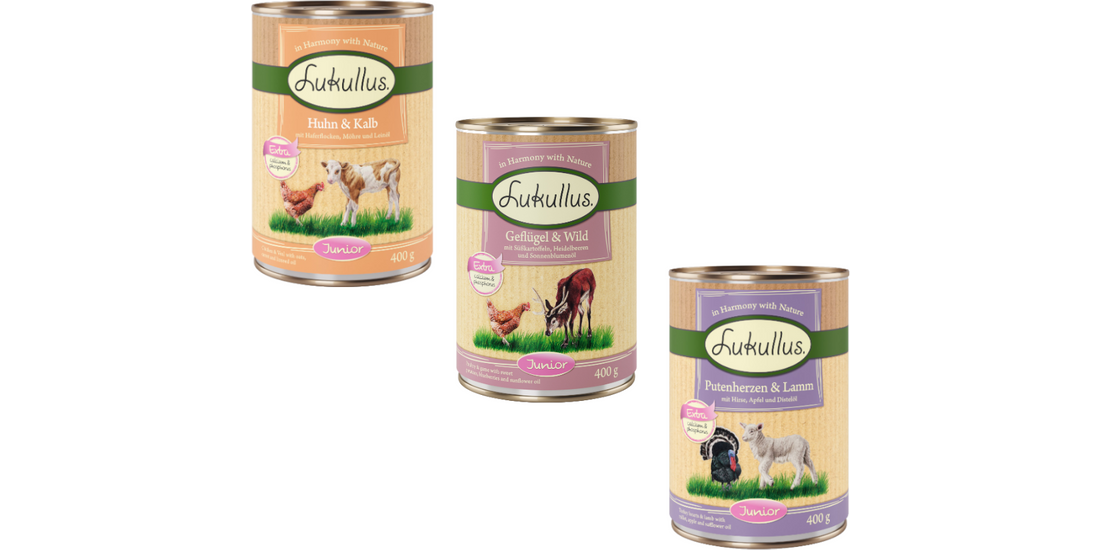 Lukullus Junior senza cereali 24 x 400 g – Mix…