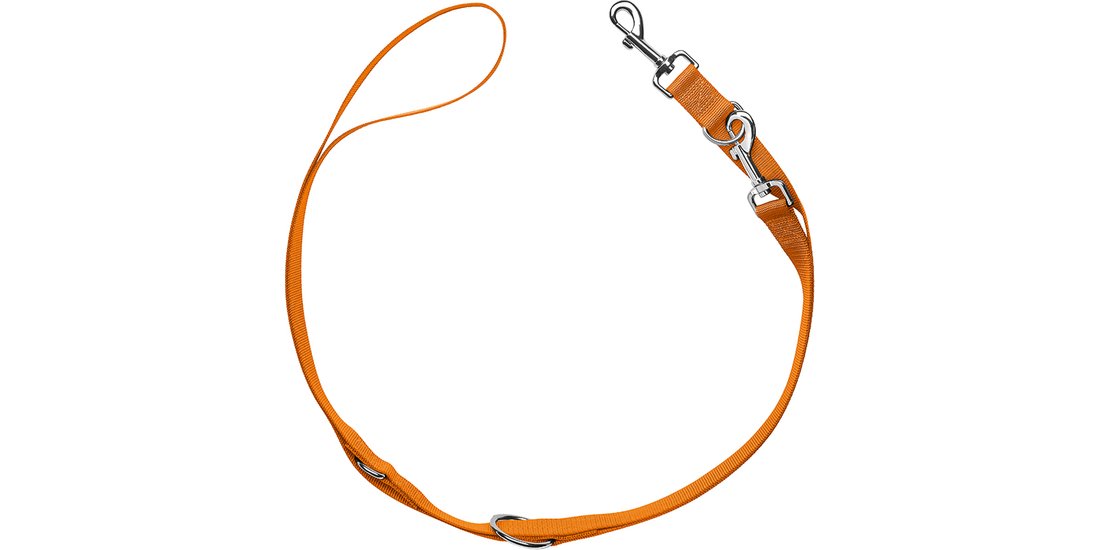 Guinzaglio regolabile Hunter London arancione…