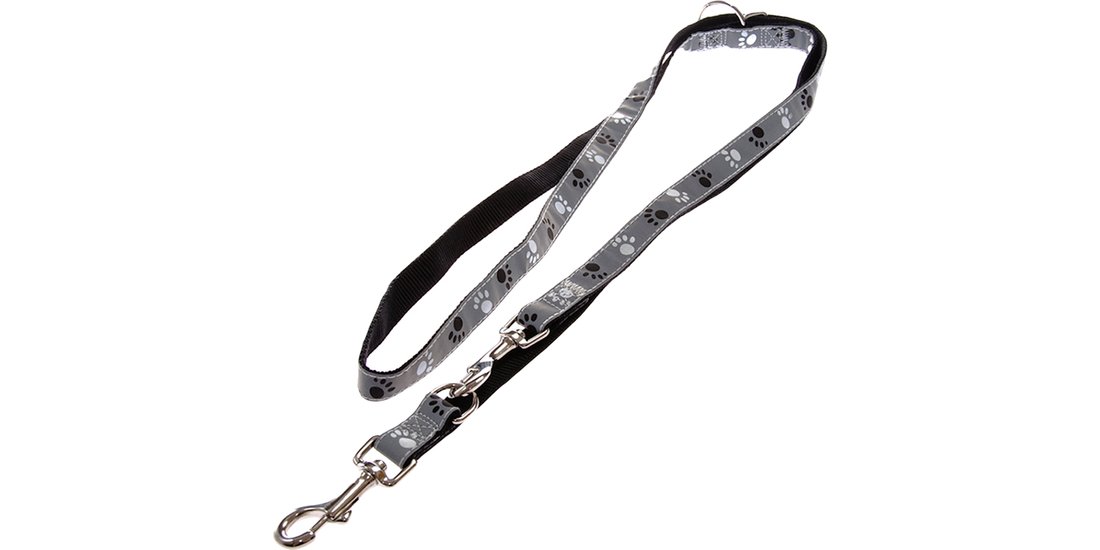 Set collare e guinzaglio – Trixie Silver Reflect…