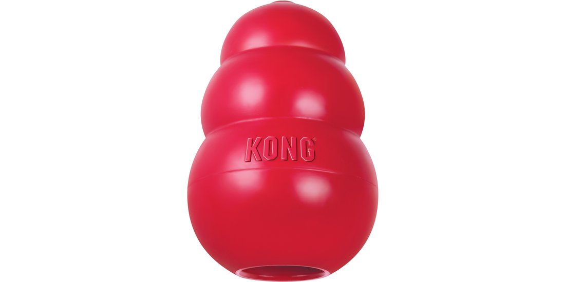 KONG Classic – KONG L (101 cm) + Kong Ziggies…