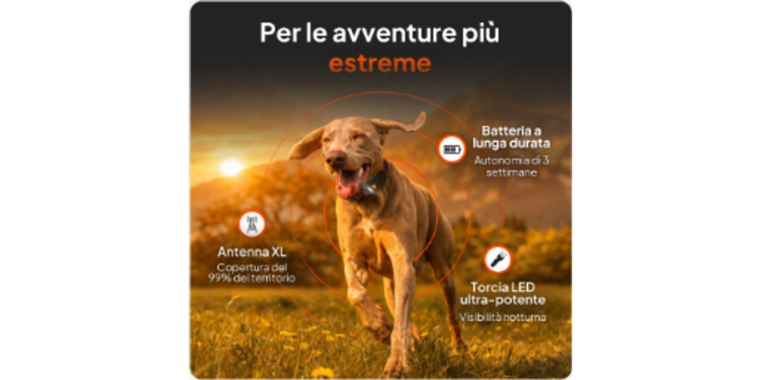 Localizzatore GPS per cani Weenect XT – con collare…