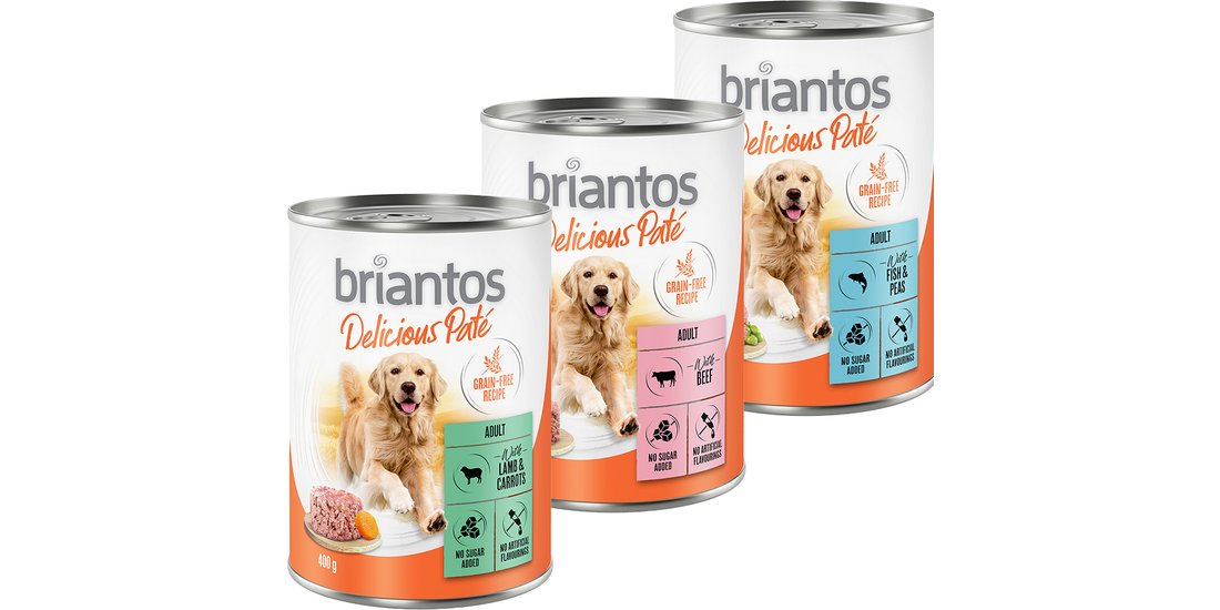 Briantos Delicious Paté 6 x 400 g Umido per cane…