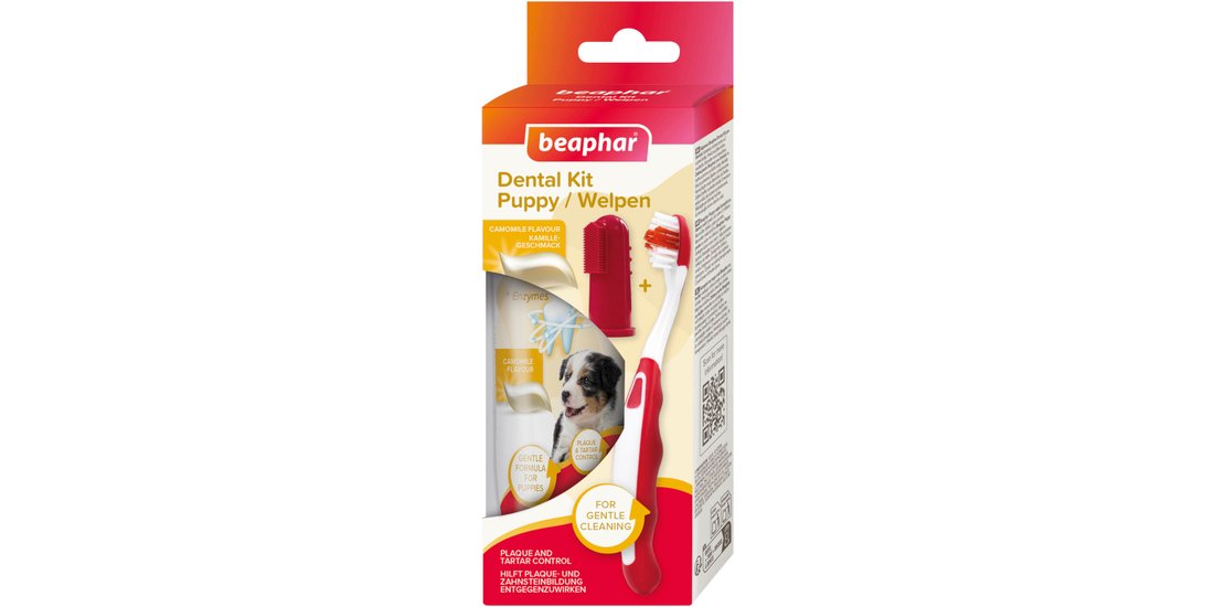 Set per l’igiene orale dei cuccioli beaphar – …