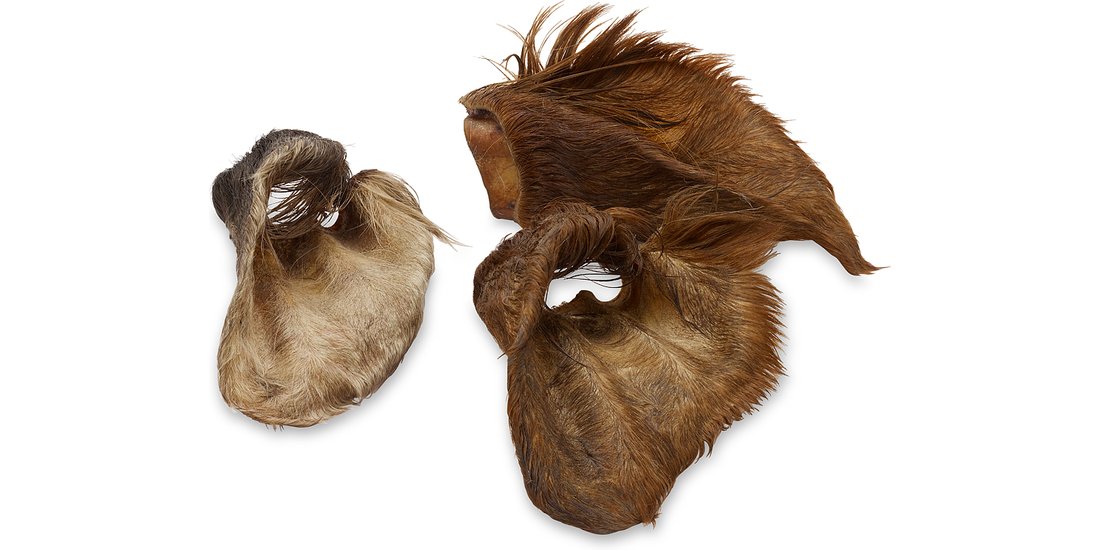 Multipack risparmio! Wolf of Wilderness Orecchie…