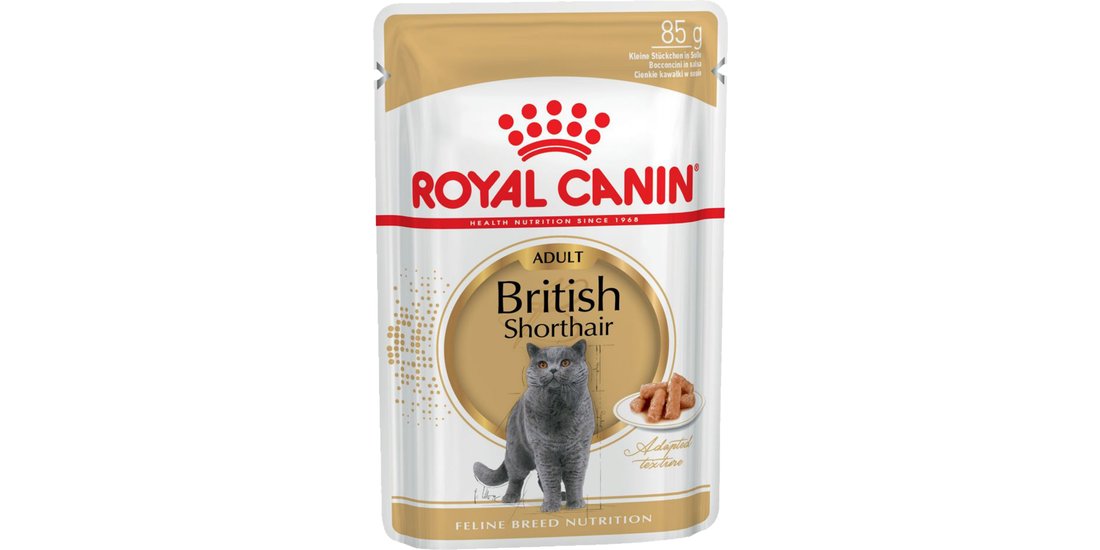 Royal Canin British Shorthair Adult umido in …