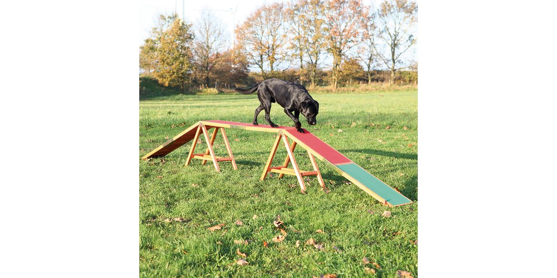 Trixie Passerella Dog Activity Agility – L 456…