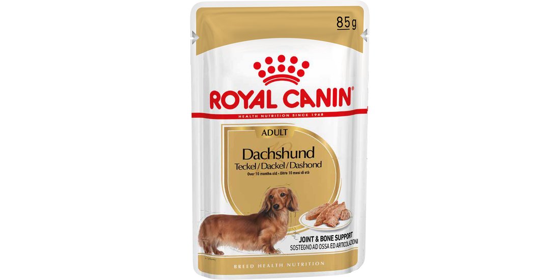 Royal Canin Bassotto (Dachshund) Adult Patè umido…
